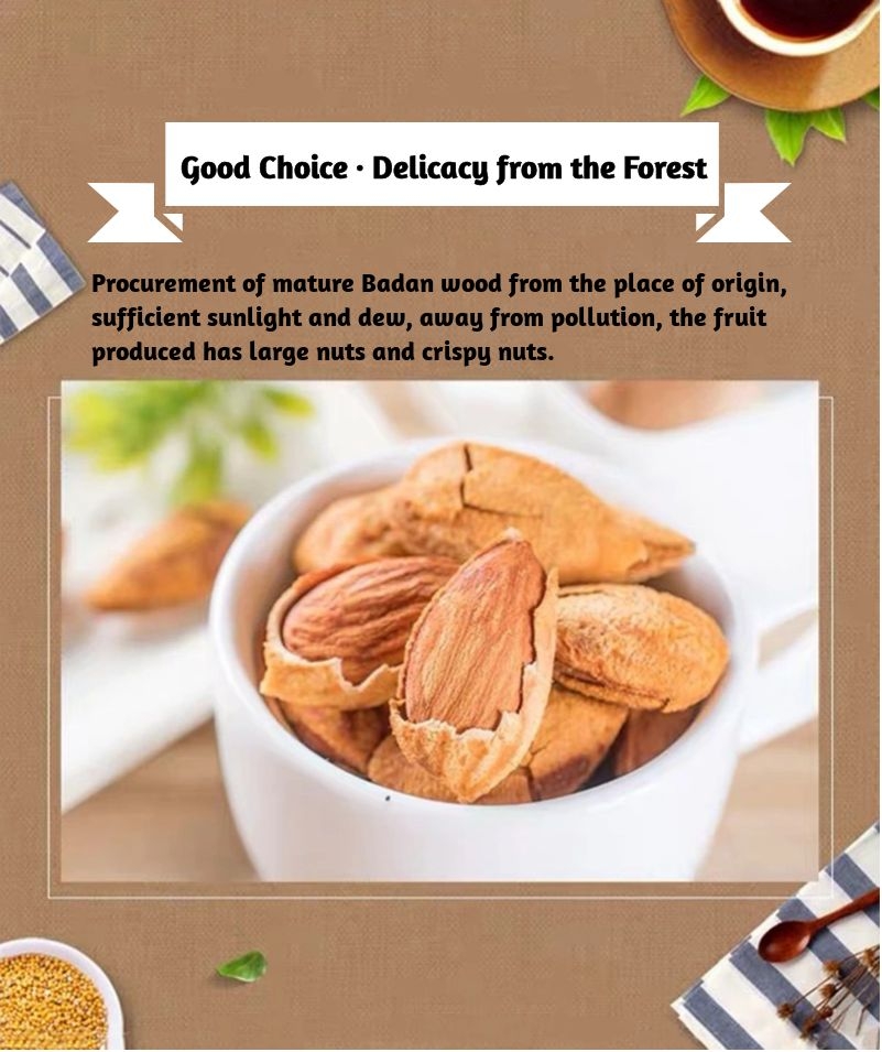 high quality badam almond nuts raw almonds kernels