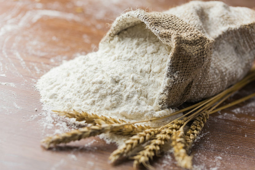 100% Whole Wheat bread Flour/ All Purpose Flour for sale