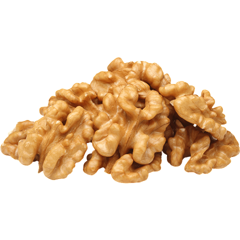 Organic Raw Walnuts in Shell Walnut Kernels Price