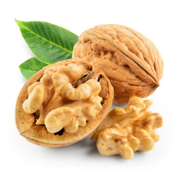 Organic Raw Walnuts in Shell Walnut Kernels Price