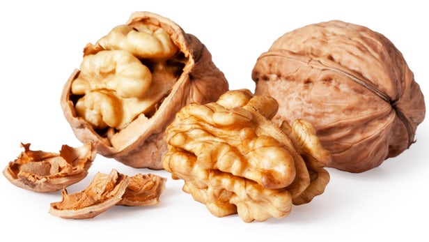Organic Raw Walnuts in Shell Walnut Kernels Price