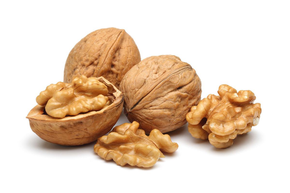 Organic Raw Walnuts in Shell Walnut Kernels Price