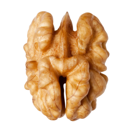 Organic Raw Walnuts in Shell Walnut Kernels Price