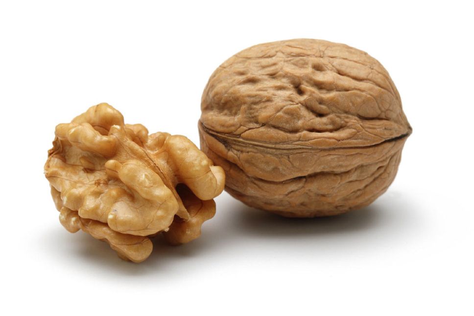 Organic Raw Walnuts in Shell Walnut Kernels Price