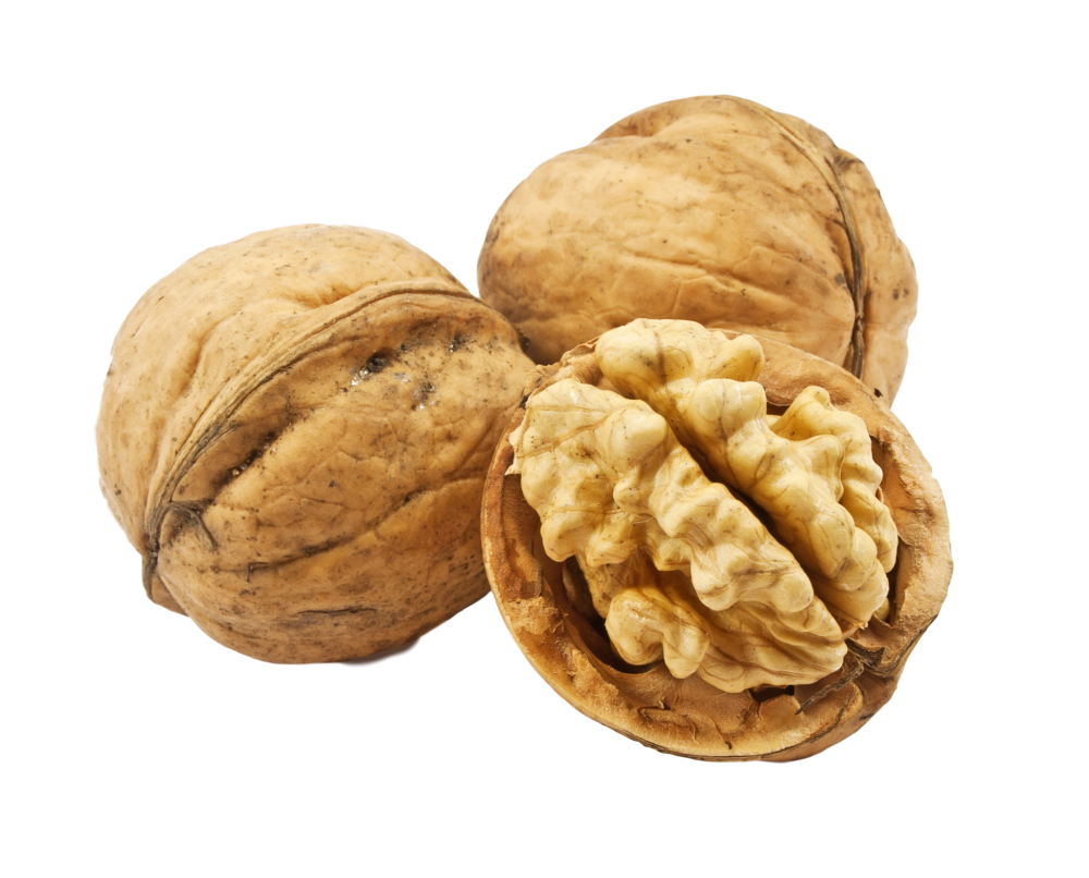 Organic Raw Walnuts in Shell Walnut Kernels Price