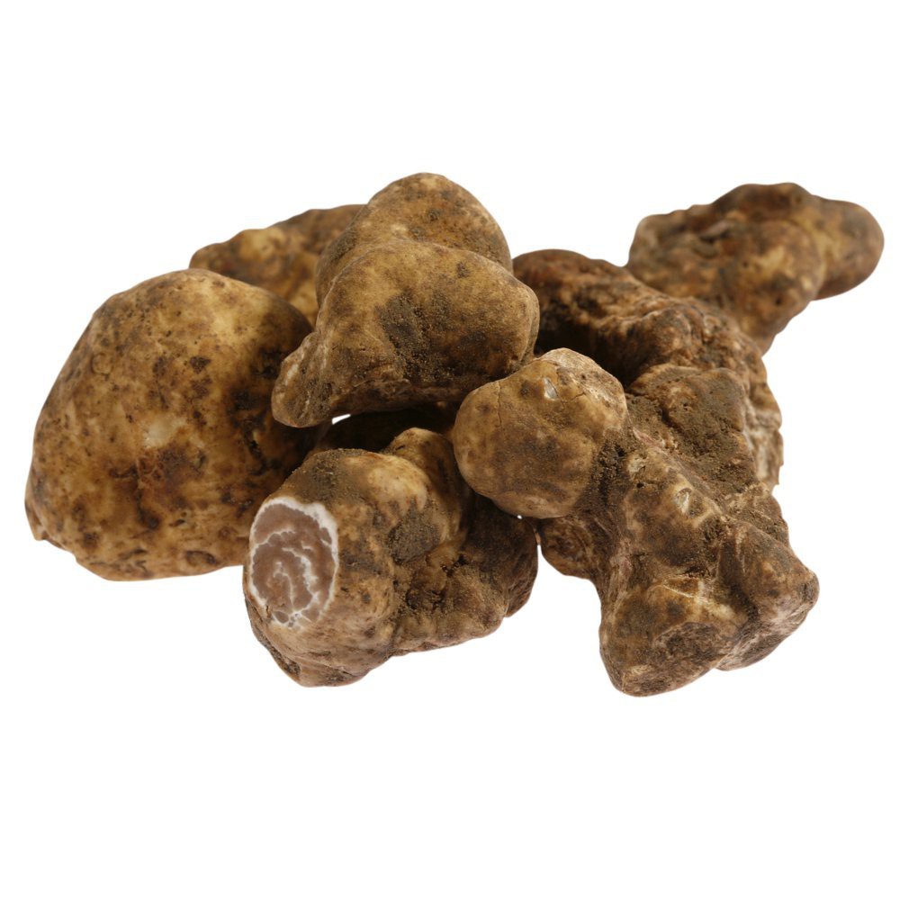 Shitake Shiitake AD Organic Dried Mushroom