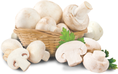 Shitake Shiitake AD Organic Dried Mushroom