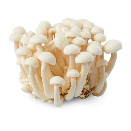 Shitake Shiitake AD Organic Dried Mushroom