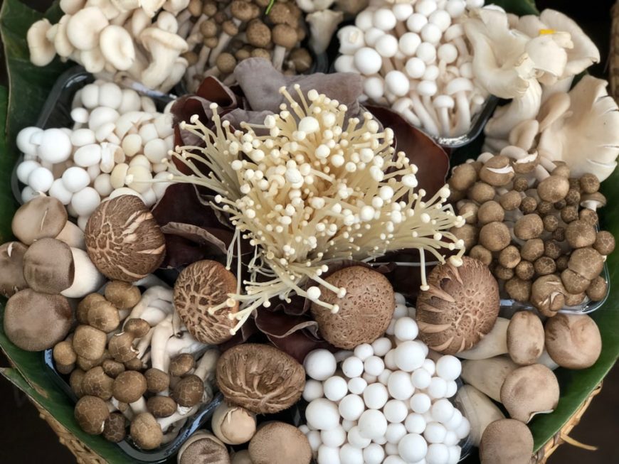 Fresh Style and Mushrooms Product Type Enoki mushroom