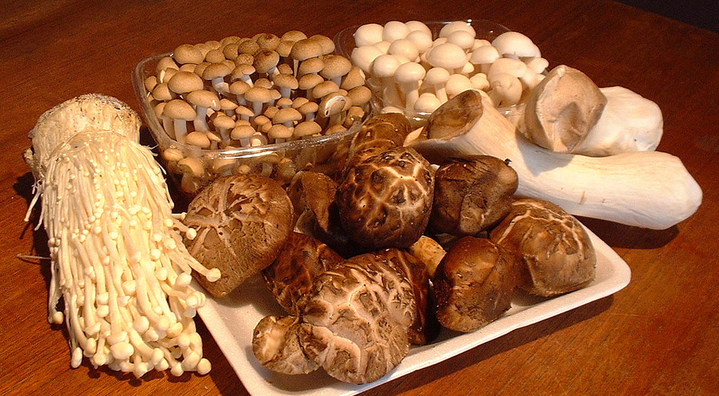 Washed White Back Dried Black Fungus Mushroom