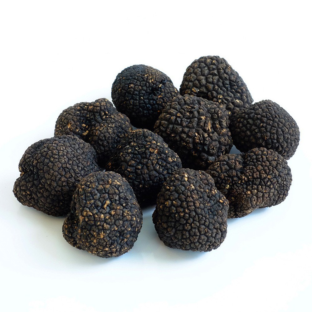 Fresh Black and White truffle
