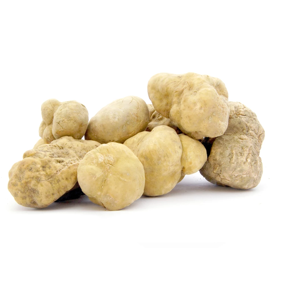 Fresh Black and White truffle