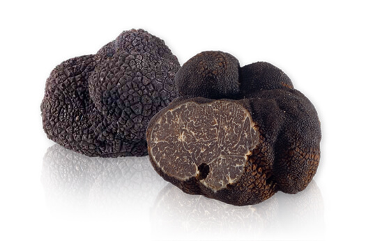 Fresh Black and White truffle