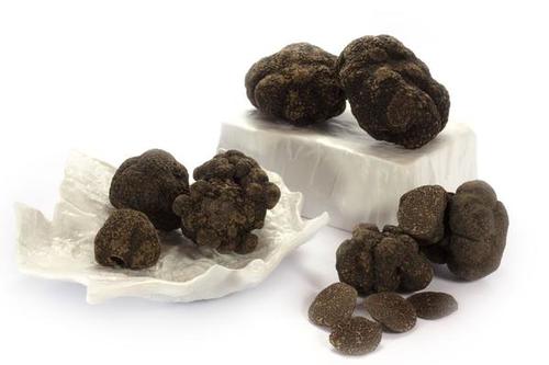 Fresh Black and White truffle