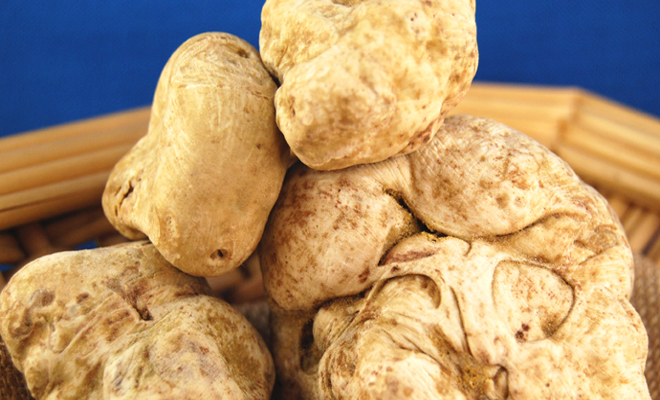 New Crop Dried Truffle Sliced Black White Truffle Tuber Melanosporum Perigord Truffle