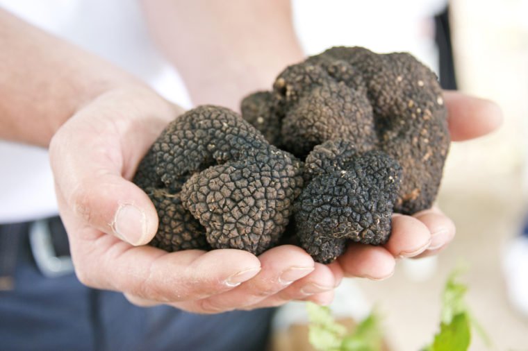 Wild Dried White Truffle Whole Prices