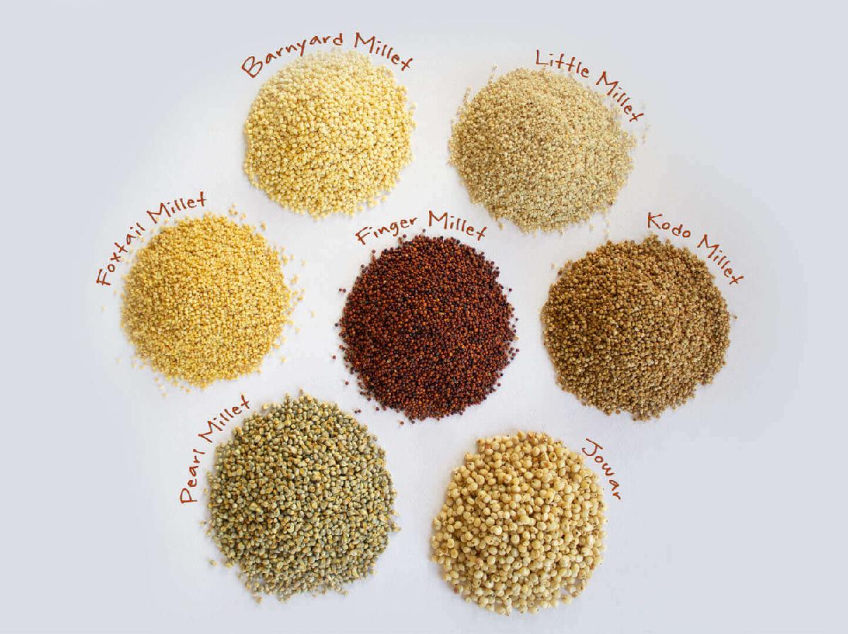 pearl millet seeds