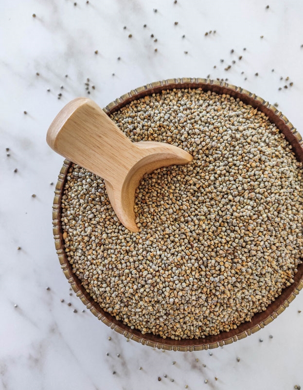 pearl millet seeds