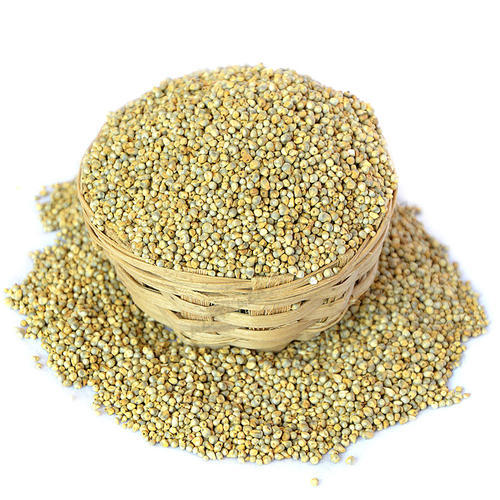 pearl millet seeds