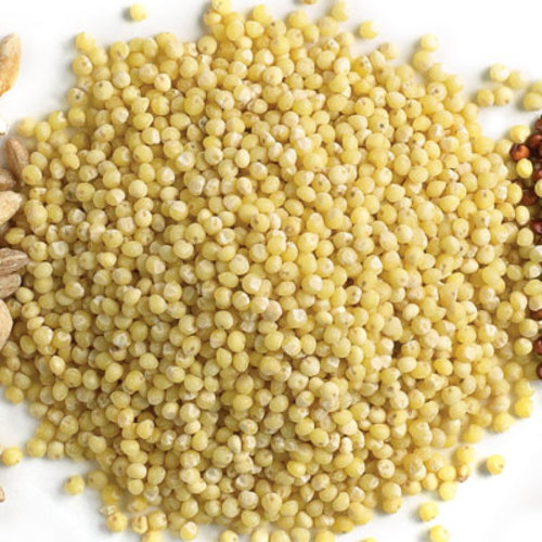 Dried Healthy Hulled nutrition Raw Grains yellow millet organic