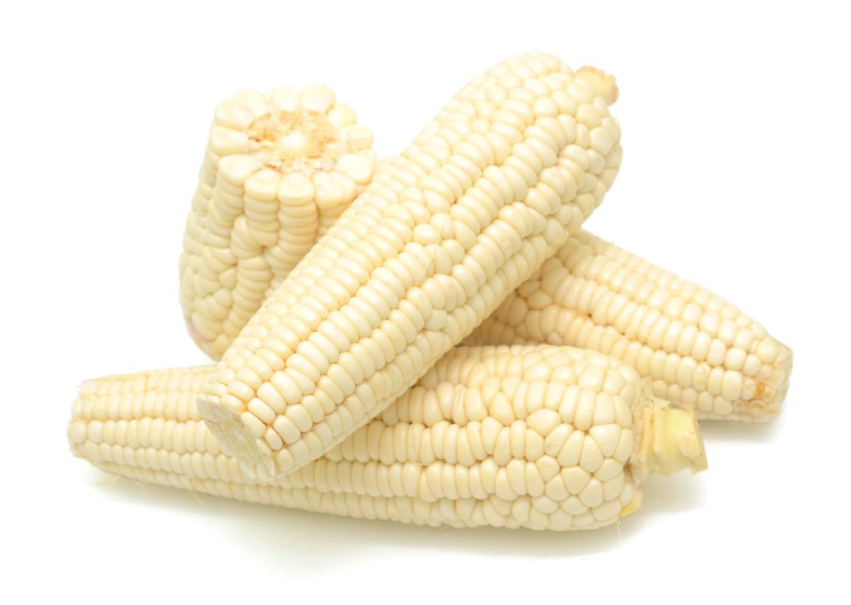 Super Quality Dried Style Product Yellow Maize / Corn For Animal Feed
