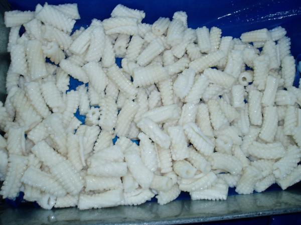Good price frozen baby squid Loligo Japonica for sale,Thailand price