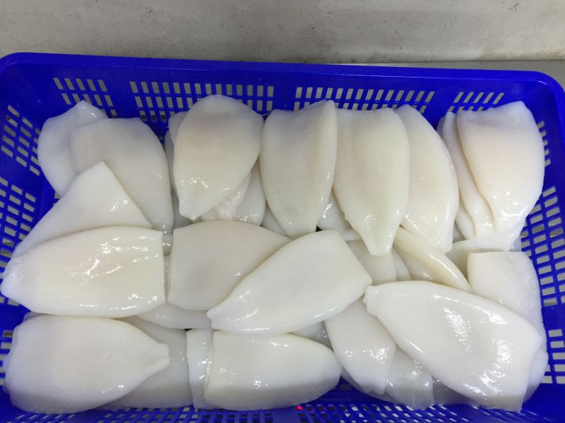 Best Quality frozen whole round squid Chinese Loligo Squid frozen illex