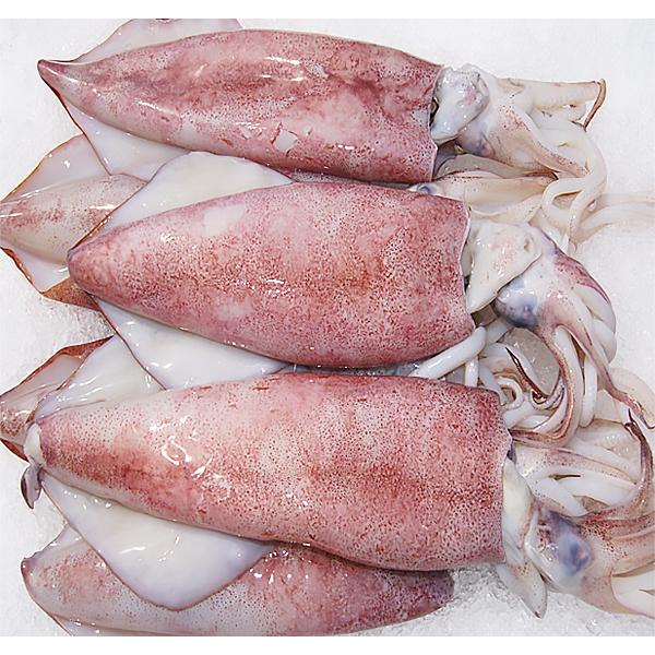 Best Quality Frozen Giant Squid fillet/IQF /SKIN OUT