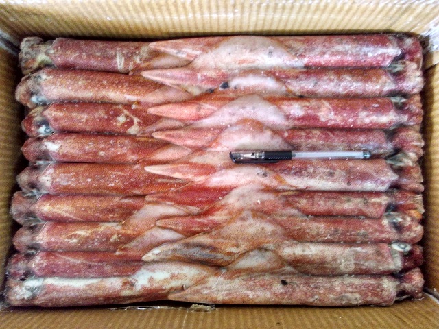 Best Quality Frozen Giant Squid fillet/IQF /SKIN OUT