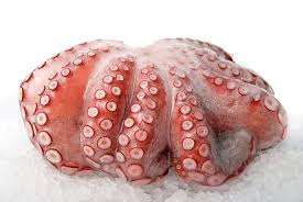 Best Deals Small octopus dried seafood raw small octopus for sale baby octopus