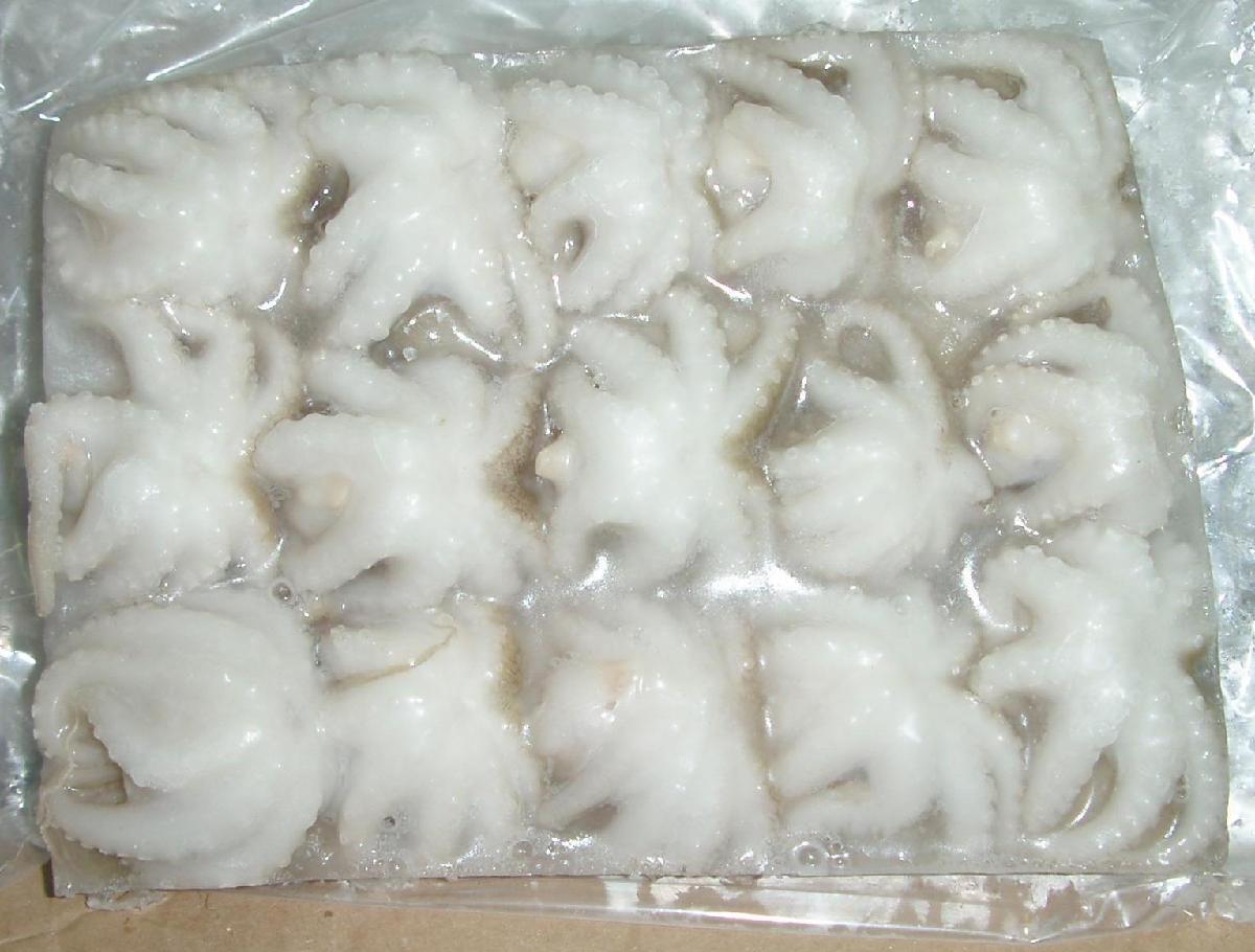 Best Deals Small octopus dried seafood raw small octopus for sale baby octopus