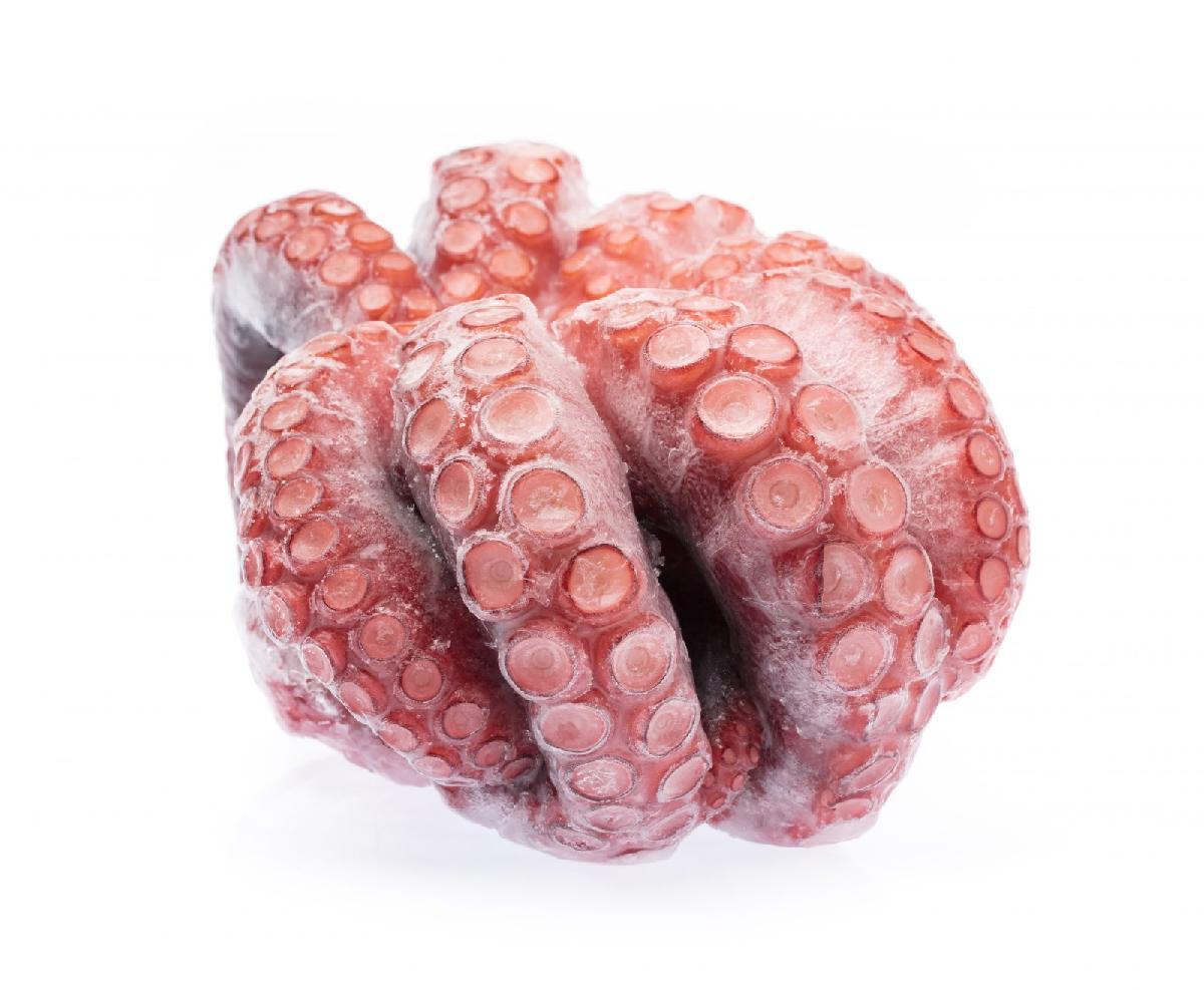 Best Deals Small octopus dried seafood raw small octopus for sale baby octopus