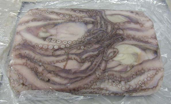 Best Deals Small octopus dried seafood raw small octopus for sale baby octopus