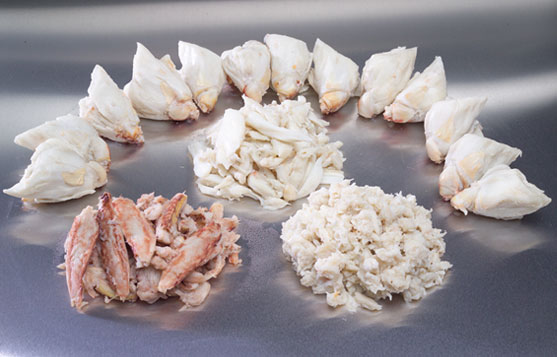 Alive/ Fresh/ Frozen Blue Swimming Crab