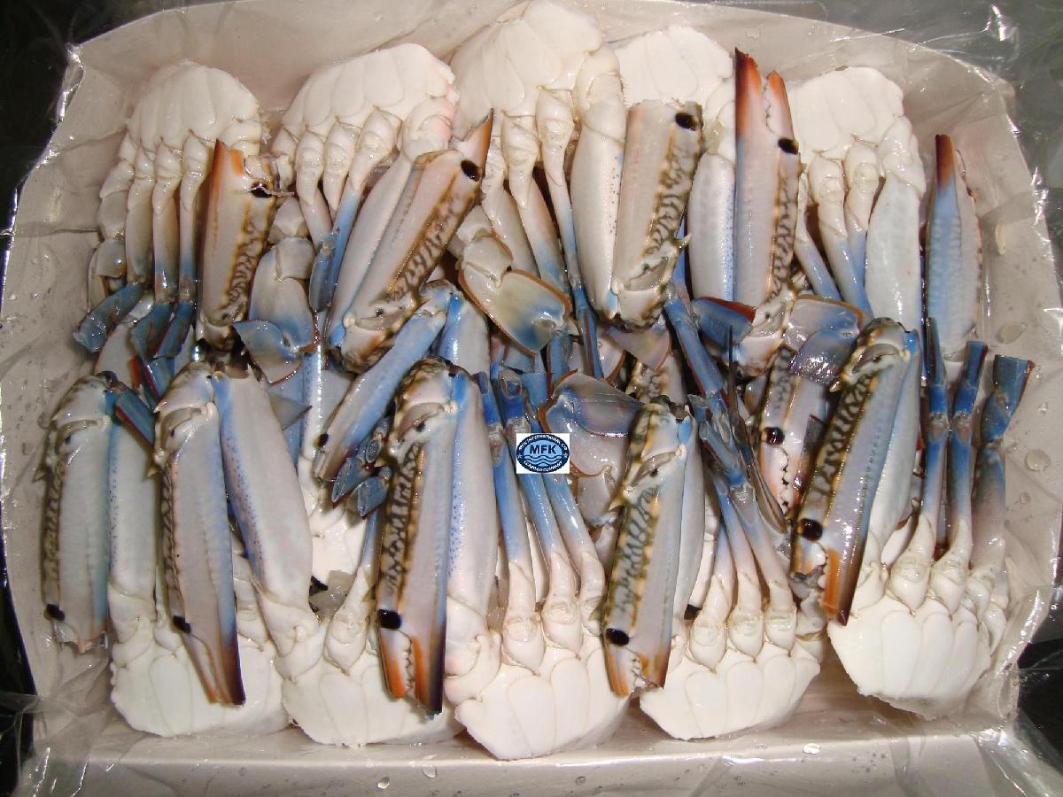 Alive/ Fresh/ Frozen Blue Swimming Crab
