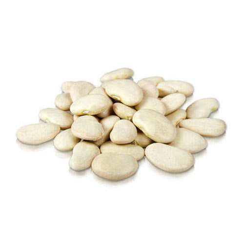 New crop baby lima beans for export