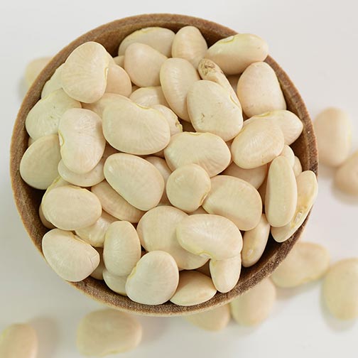 New crop baby lima beans for export