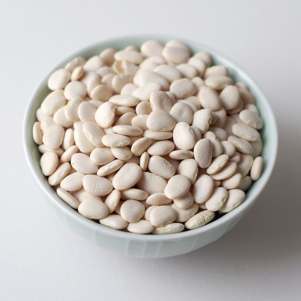 Large white lima Beans for export and Organic White Lima Beans