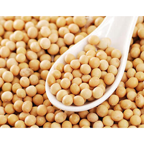 Soyabean Seeds, Soybeans for sale