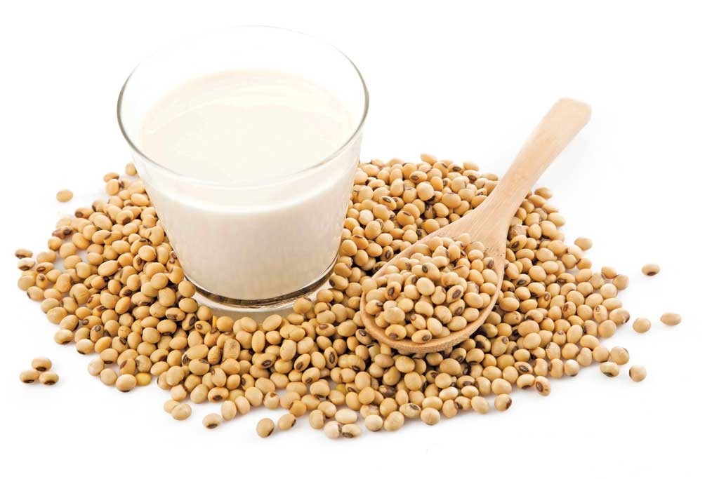 Soyabean Seeds, Soybeans for sale