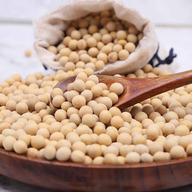 Soyabean Seeds, Soybeans for sale