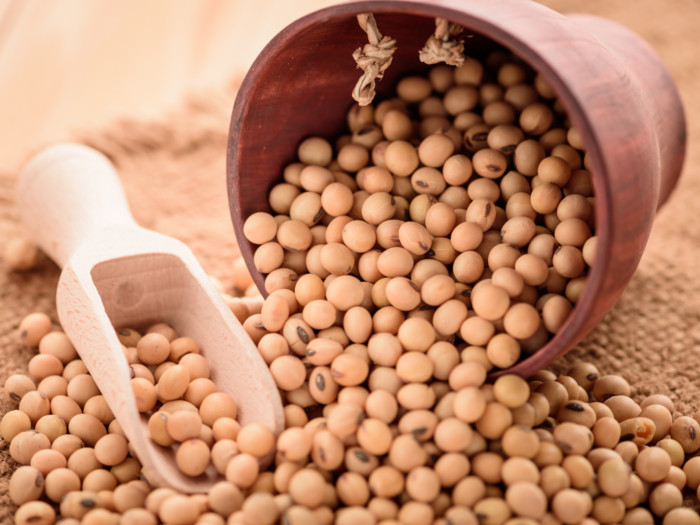 Soyabean Seeds, Soybeans for sale