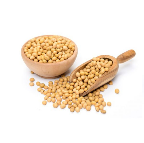 GMO and Non GMO Soyabean/Soybean for Sale