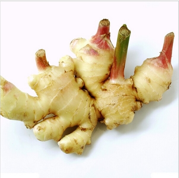 FRESH GINGER CHEAPEST LAST CROP SALE NOW!!!