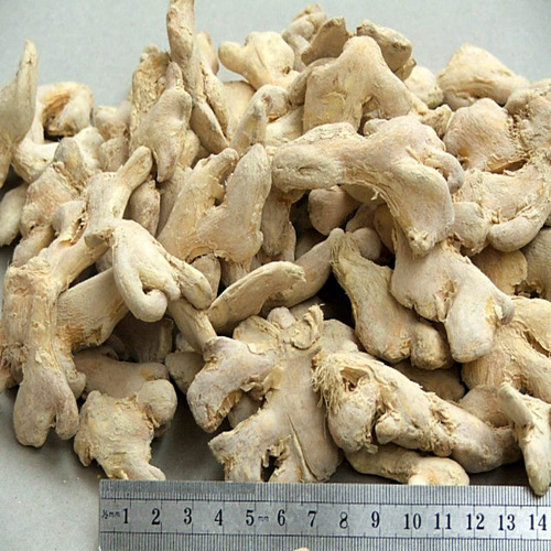 Premium Grade Air Dry Fresh Ginger from Thailand