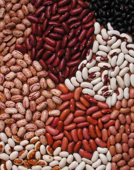 health products beans cranberry dark red kidney beans