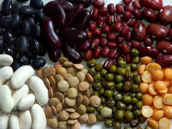 health products beans cranberry dark red kidney beans