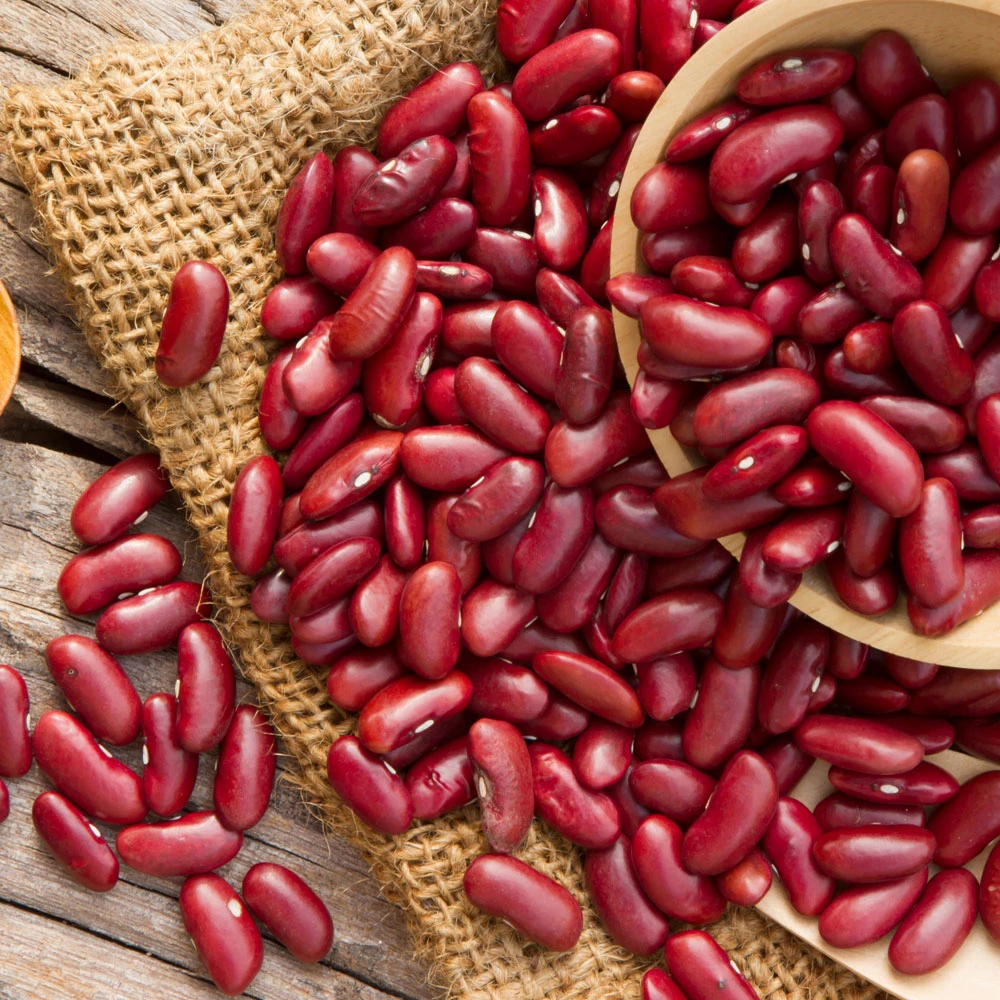Dark Red Kidney Beans new  crop Long Shape