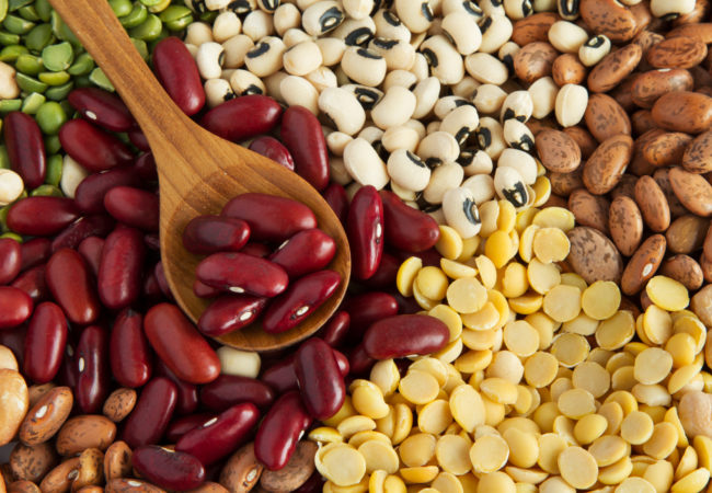 Dark Red Kidney Beans new  crop Long Shape