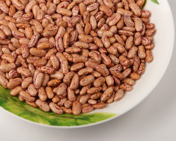Dark Red Kidney Beans new  crop Long Shape